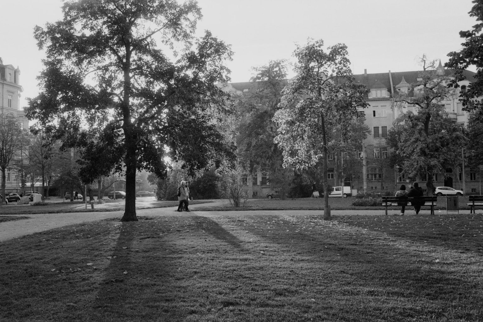 2024-10-11–2933-Contax137MA-Leipzig-HP5plus-0022