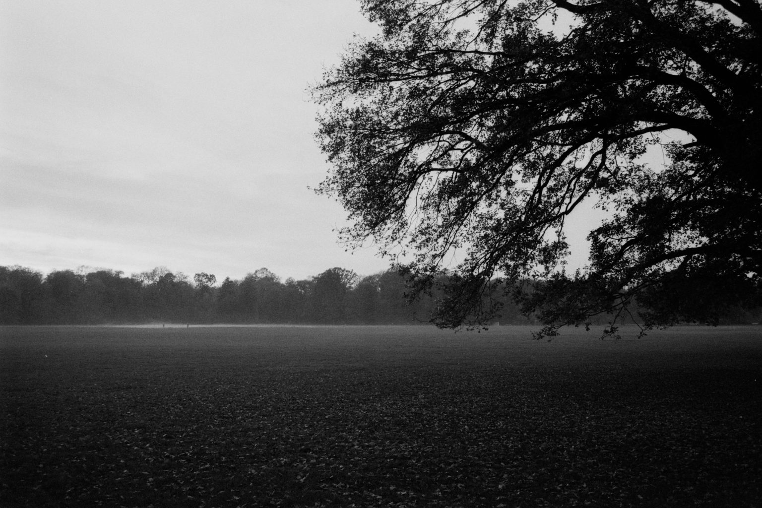 2024-10-11–2933-Contax137MA-Leipzig-HP5plus-0026