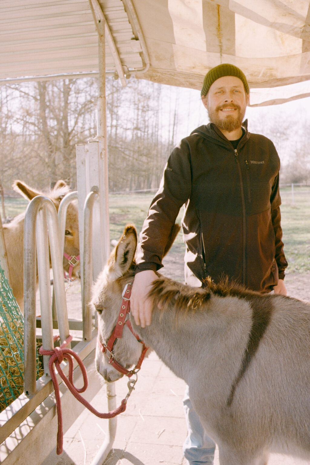 2025-03-1049-Contax137MA-LüneburgerHeide_Leipzig_Esel-Gold200-0036