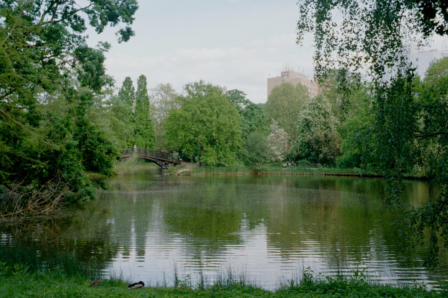 20250605_0029_2025_04-05_0277-Contax137MA-Leipzig-Gold200