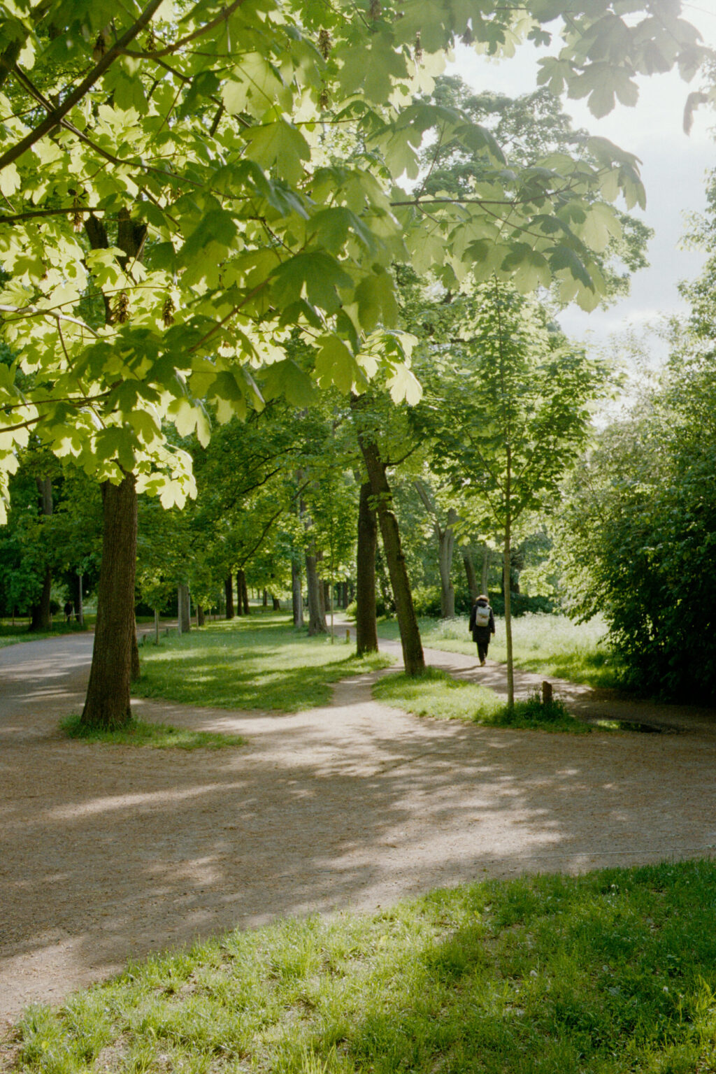 20250605_0030_2025_04-05_0277-Contax137MA-Leipzig-Gold200