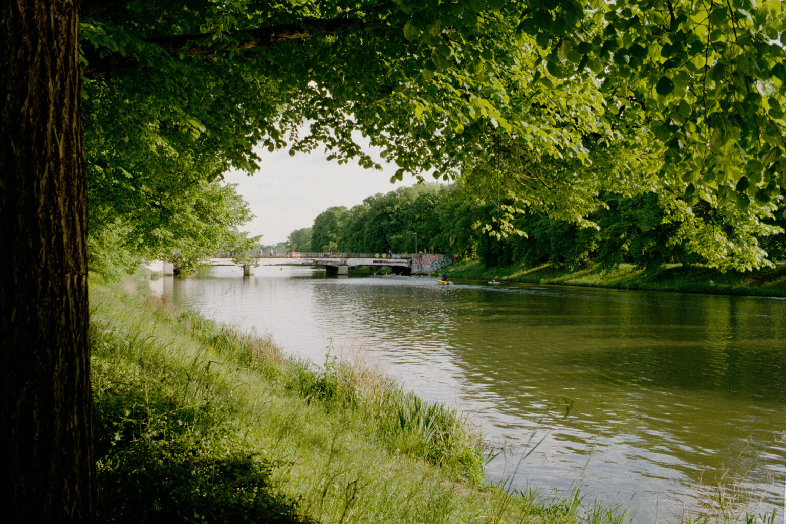 20250605_0032_2025_04-05_0277-Contax137MA-Leipzig-Gold200