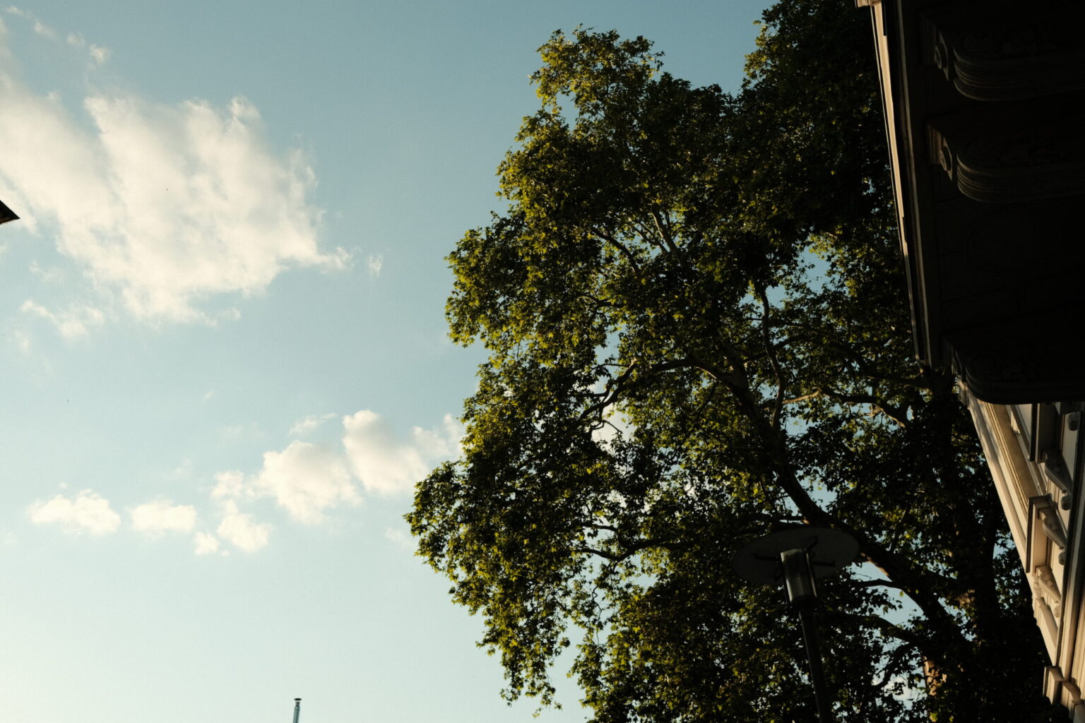 20250618_0050_2025_06_FUJI-XE3-dump