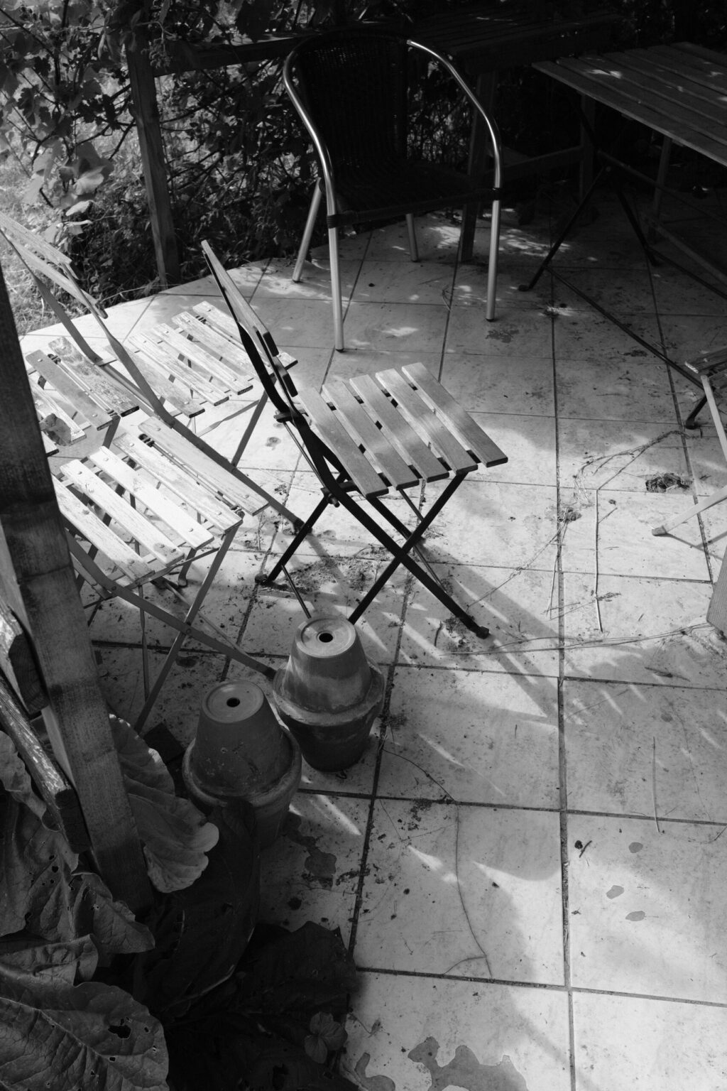 20250618_0065_2025_06_FUJI-XE3-dump